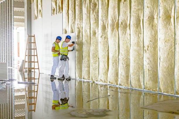 Best Eco-Friendly Insulation in Newburyport, MA